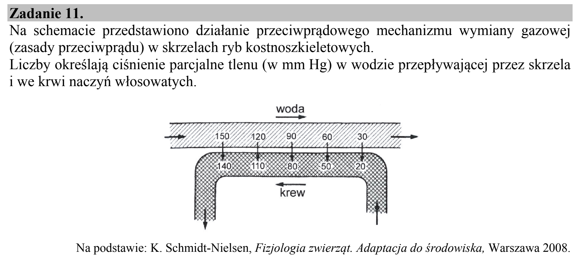 Matura dodatkowa, czerwiec 2015, wstęp zadania 11