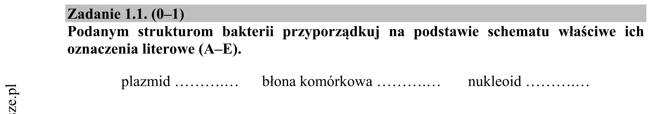 Matura dodatkowa, czerwiec 2016, zadanie 1.1