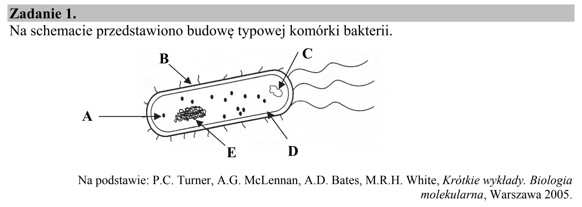 Matura dodatkowa, czerwiec 2016, wstęp zadania 1