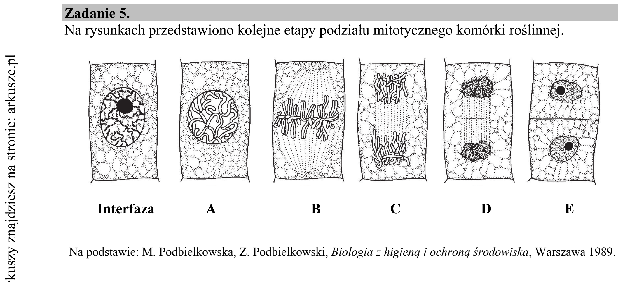 Matura dodatkowa, czerwiec 2018, wstęp zadania 5