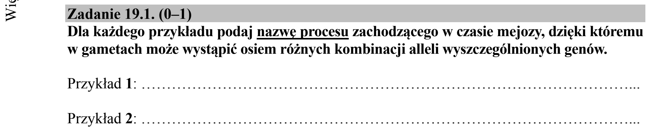 Matura dodatkowa, czerwiec 2019, zadanie 19.1