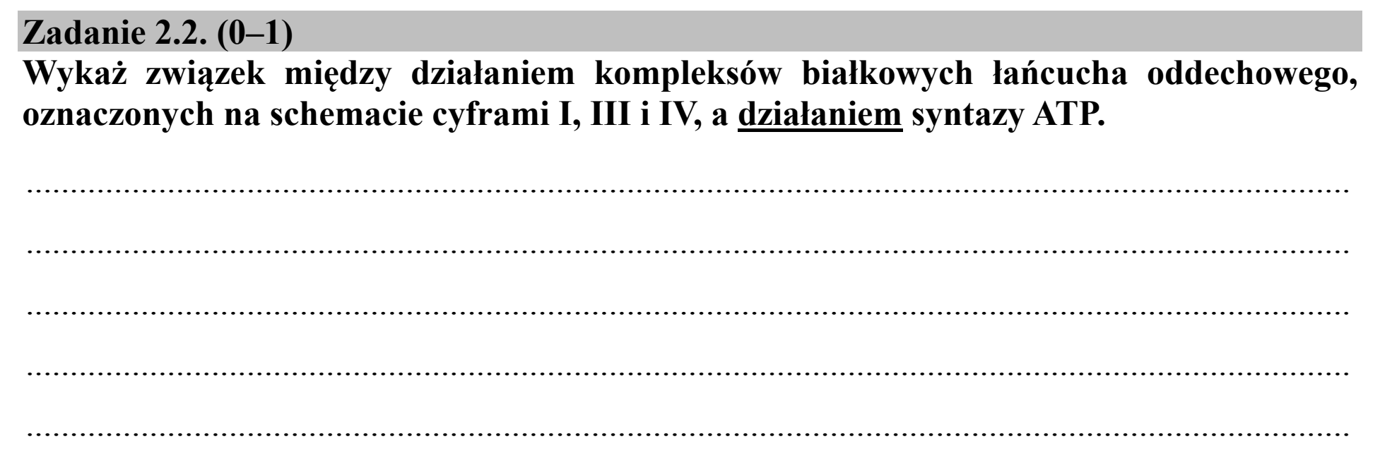 Matura dodatkowa, czerwiec 2019, zadanie 2.2