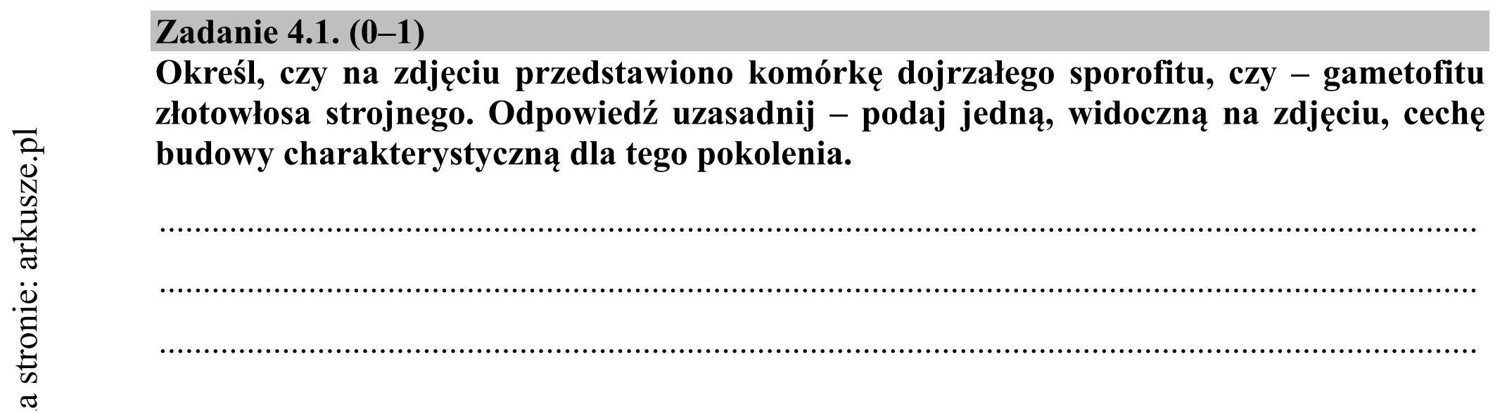 Matura dodatkowa, czerwiec 2019, zadanie 4.1