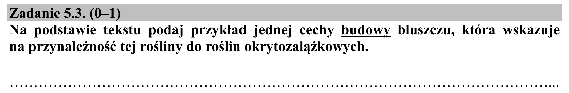 Matura dodatkowa, czerwiec 2019, zadanie 5.3