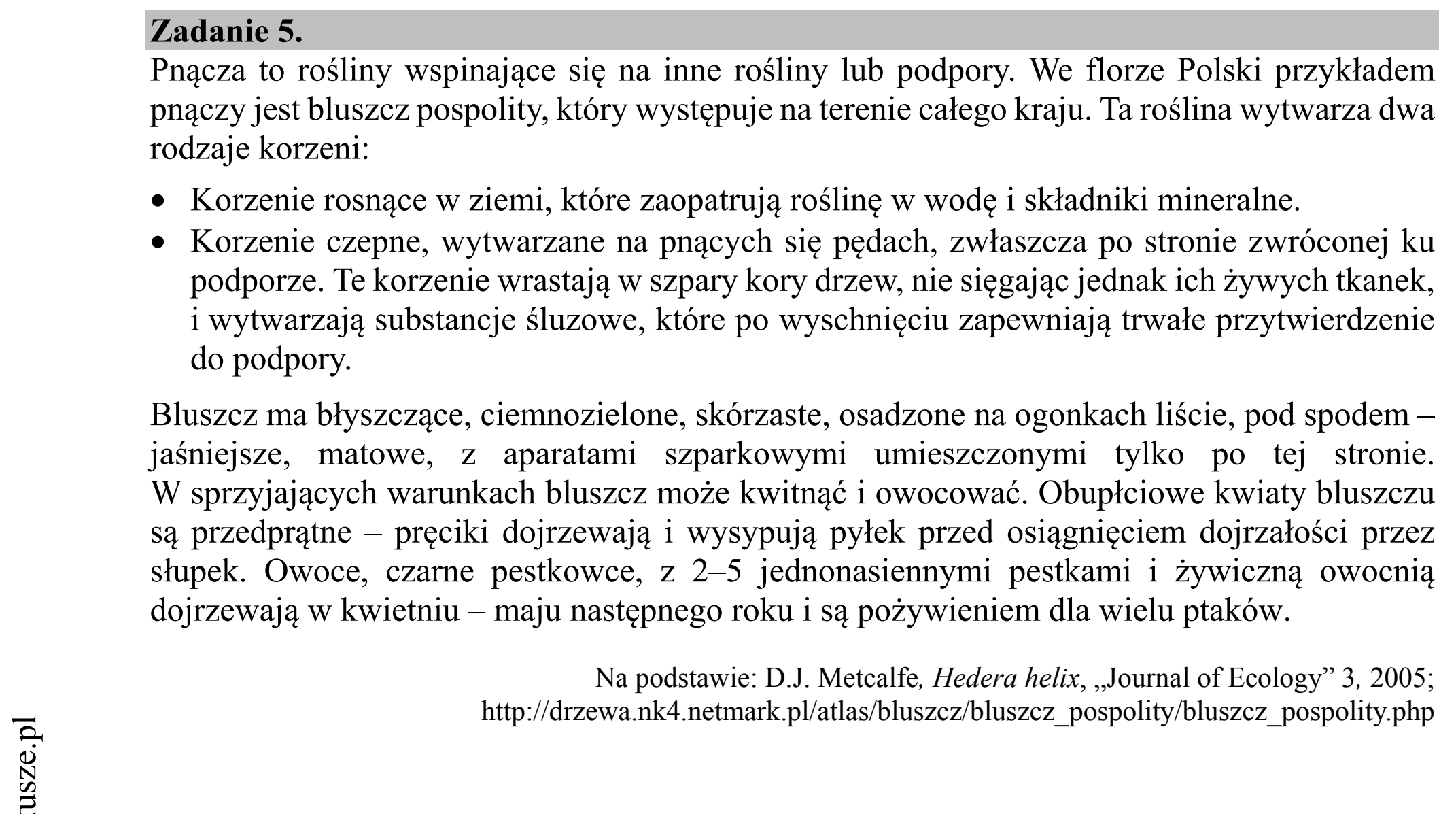 Matura dodatkowa, czerwiec 2019, wstęp zadania 5