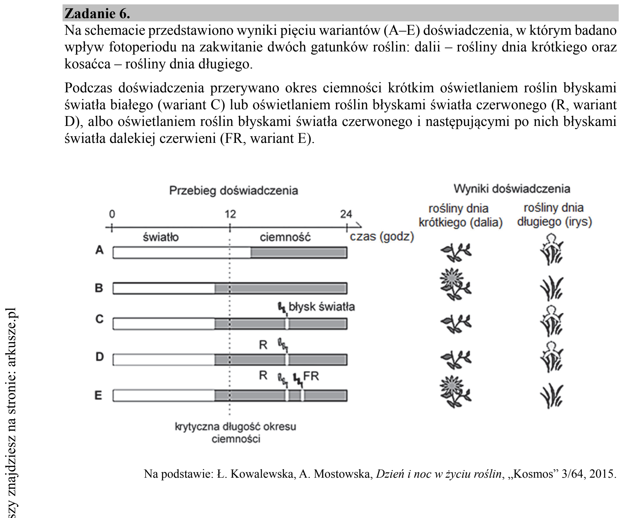 Matura dodatkowa, czerwiec 2019, wstęp zadania 6