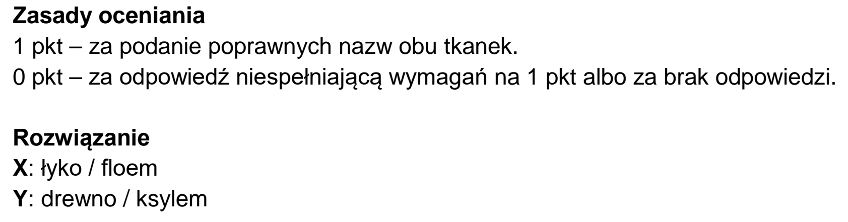 Matura dodatkowa, czerwiec 2021, odpowiedź do zadania 6.1, fragment 1