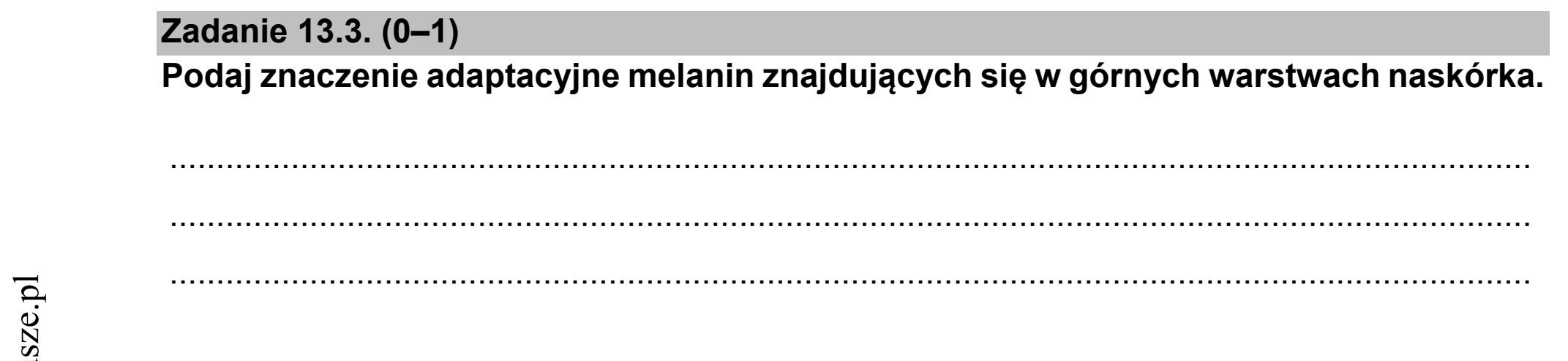 Matura dodatkowa, czerwiec 2021, zadanie 13.3