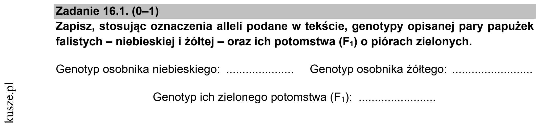 Matura dodatkowa, czerwiec 2021, zadanie 16.1