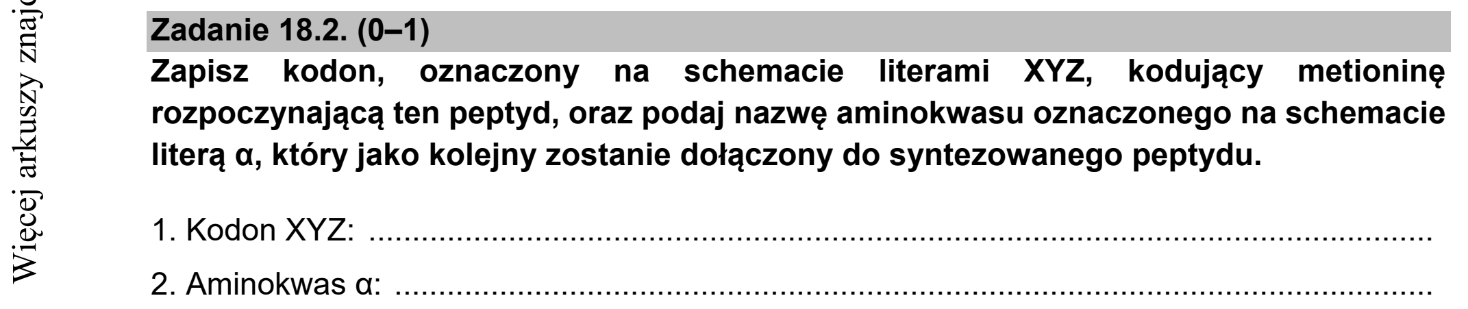 Matura dodatkowa, czerwiec 2021, zadanie 18.2