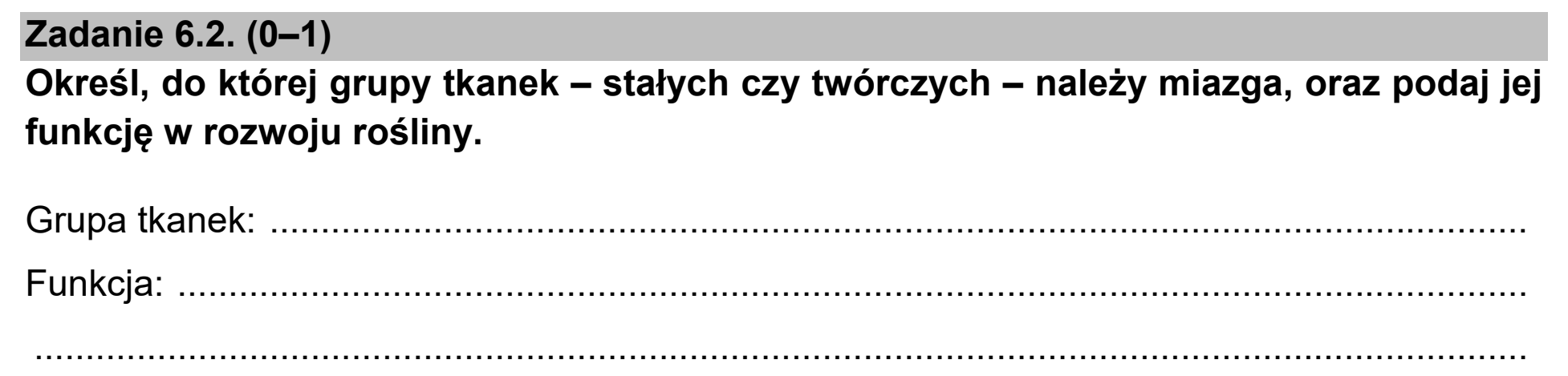 Matura dodatkowa, czerwiec 2021, zadanie 6.2