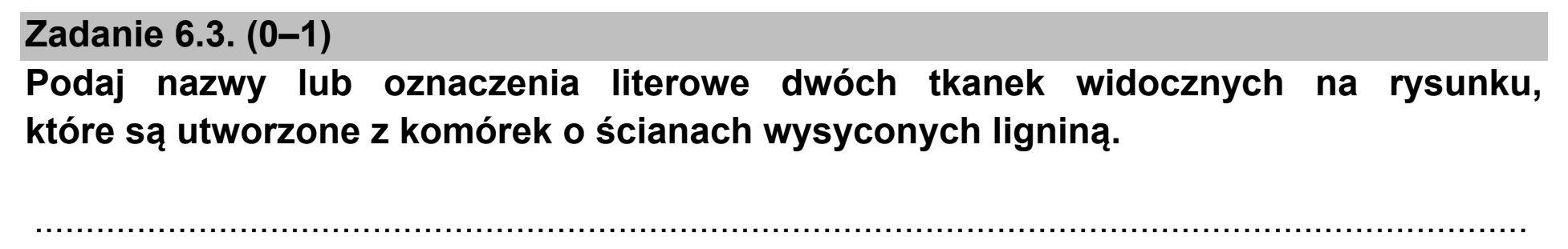 Matura dodatkowa, czerwiec 2021, zadanie 6.3