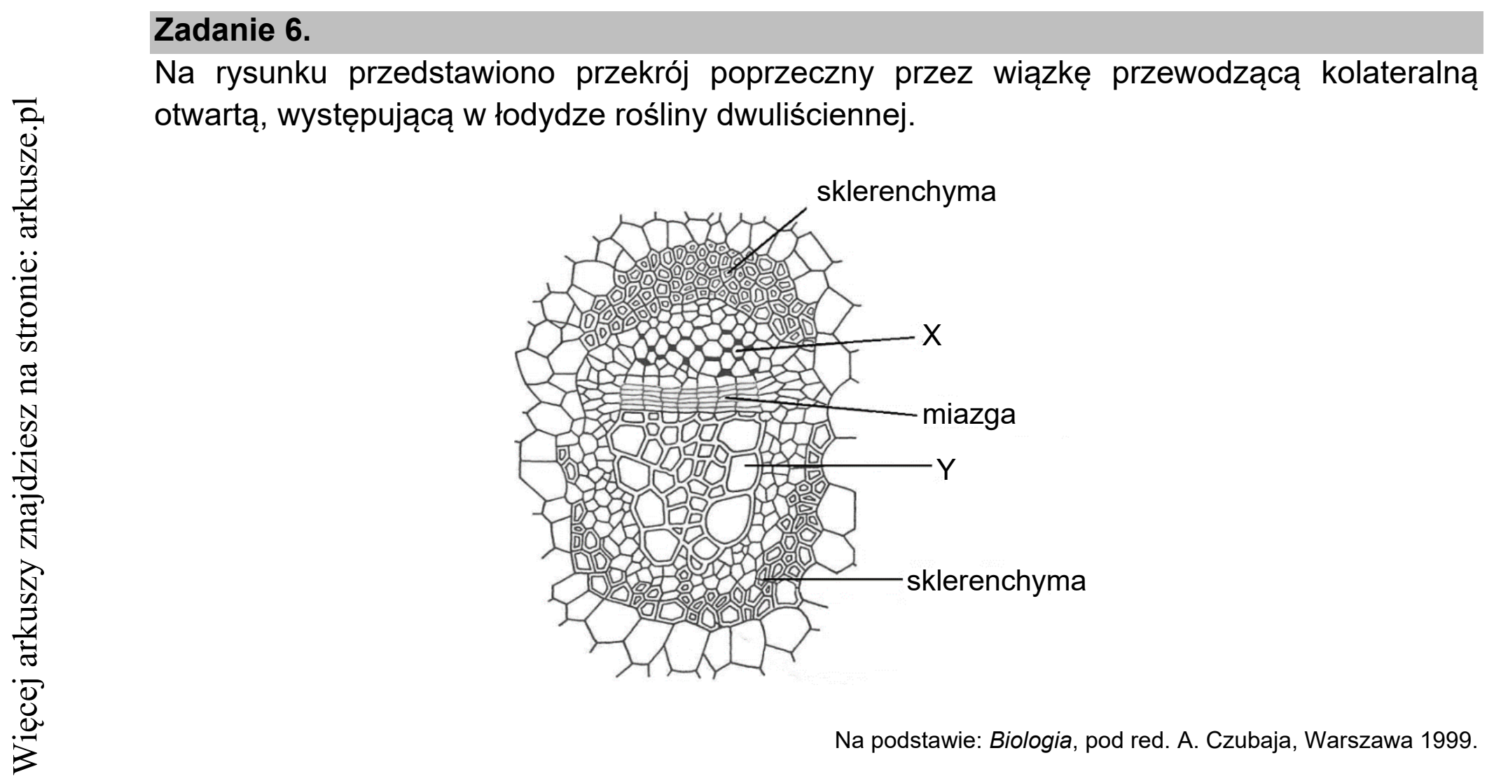 Matura dodatkowa, czerwiec 2021, wstęp zadania 6