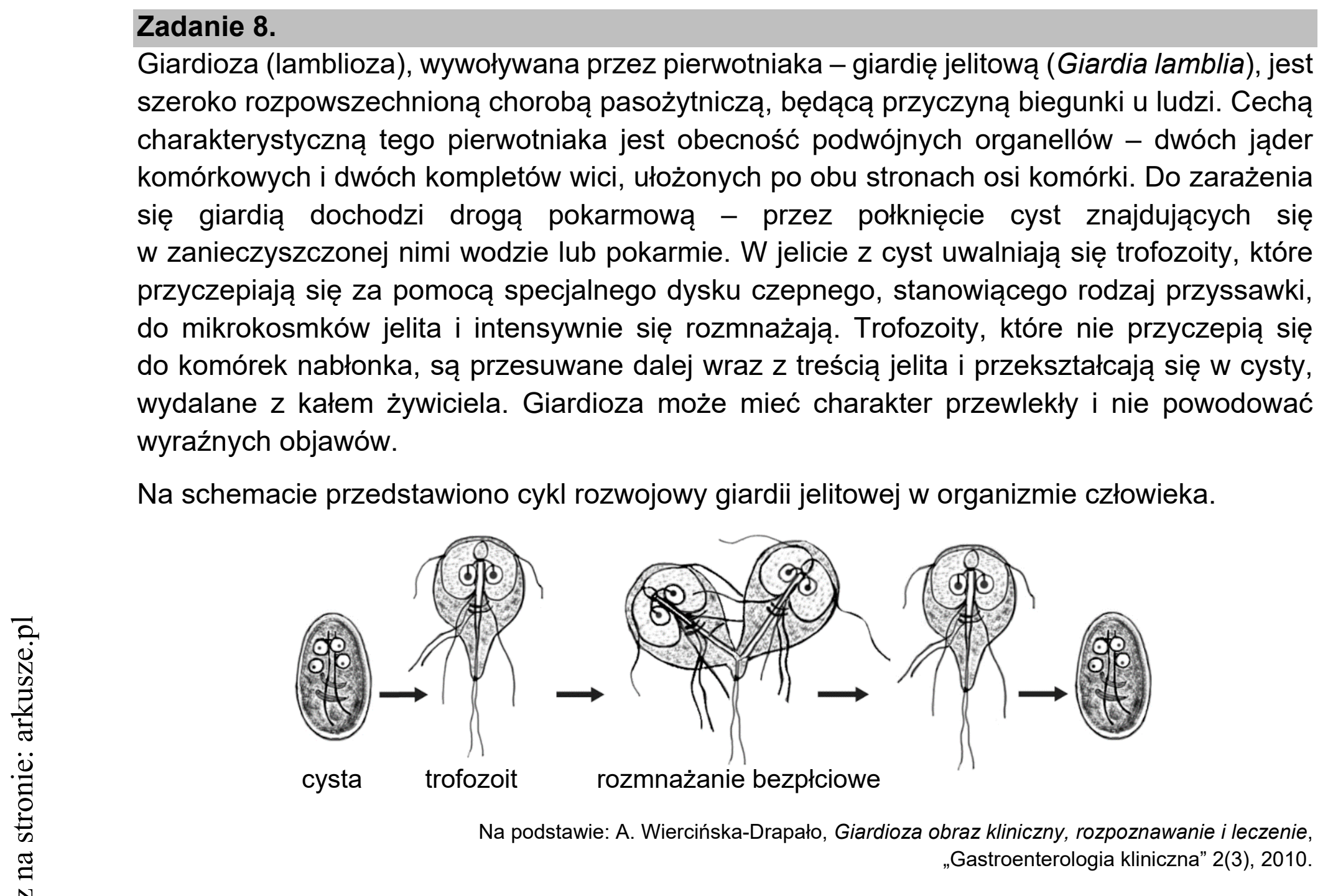 Matura dodatkowa, czerwiec 2021, wstęp zadania 8