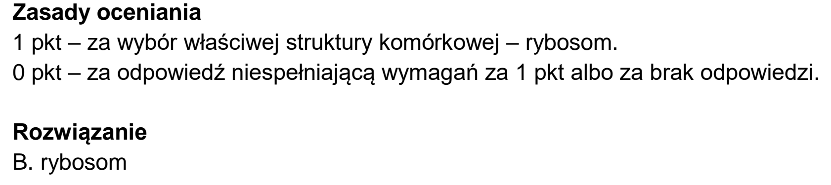 Matura dodatkowa, czerwiec 2022, odpowiedź do zadania 5
