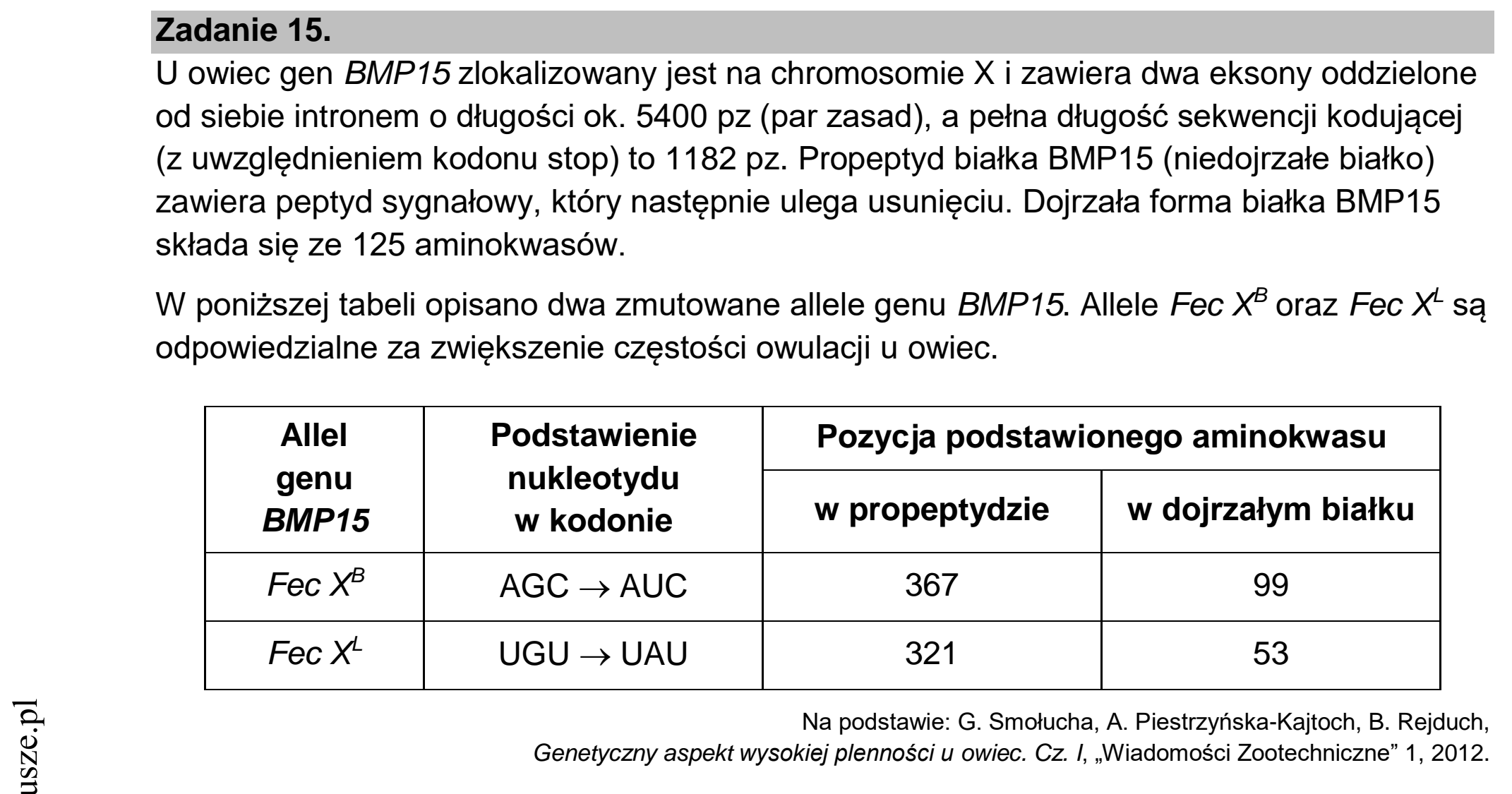 Matura dodatkowa, czerwiec 2022, wstęp zadania 15