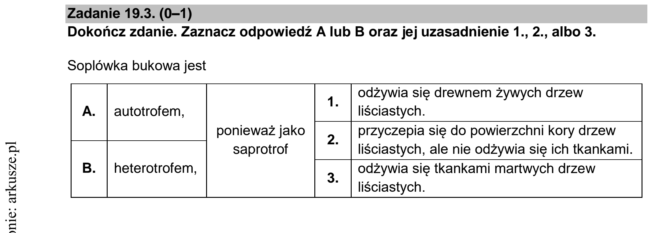 Matura dodatkowa, czerwiec 2022, zadanie 19.3