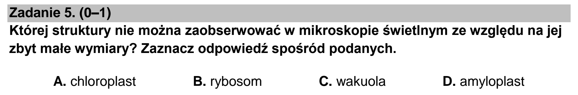 Matura dodatkowa, czerwiec 2022, zadanie 5