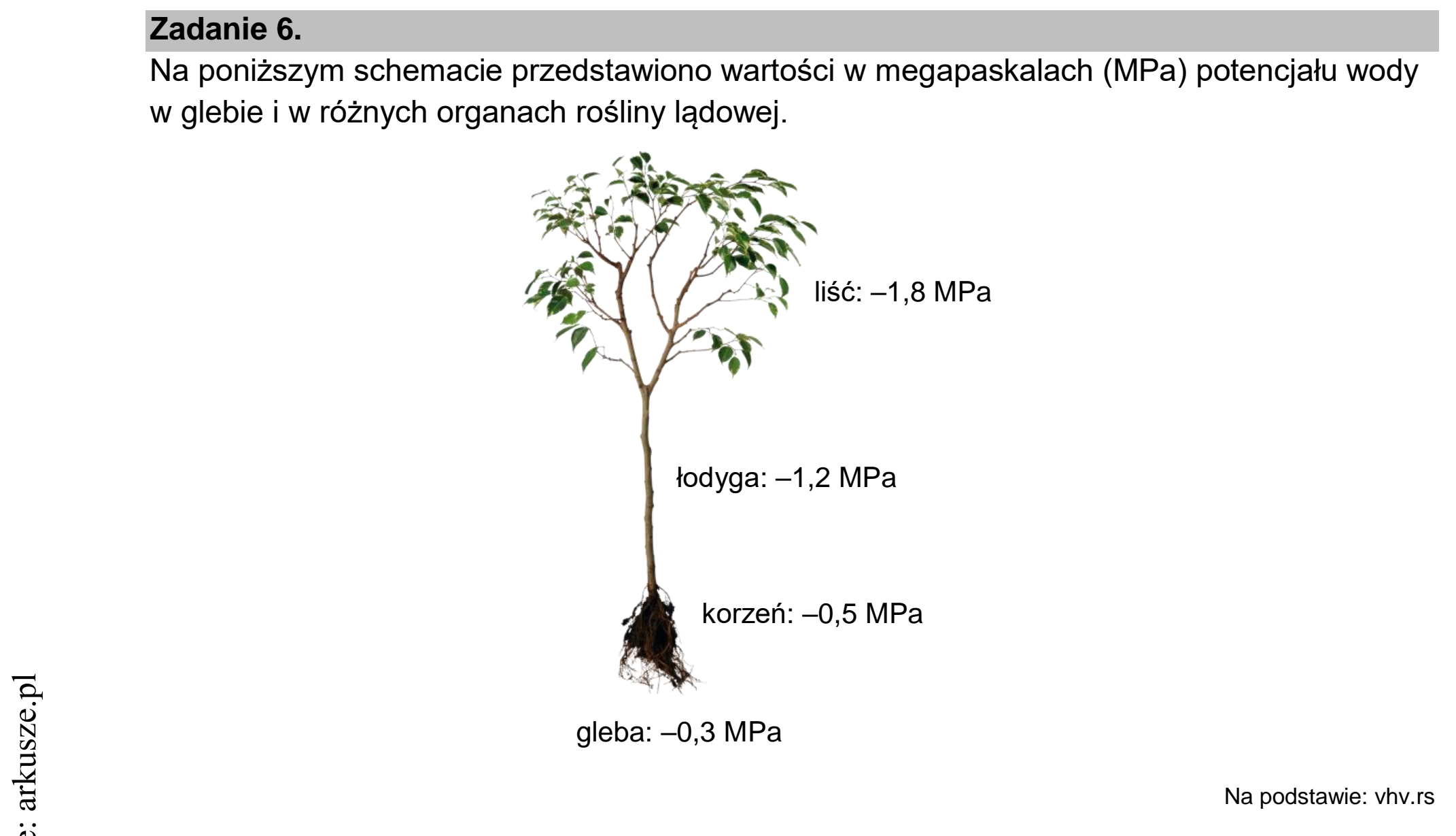 Matura dodatkowa, czerwiec 2022, wstęp zadania 6
