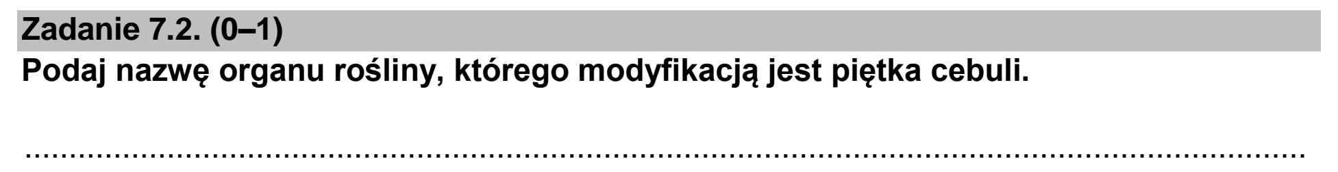 Matura dodatkowa, czerwiec 2022, zadanie 7.2