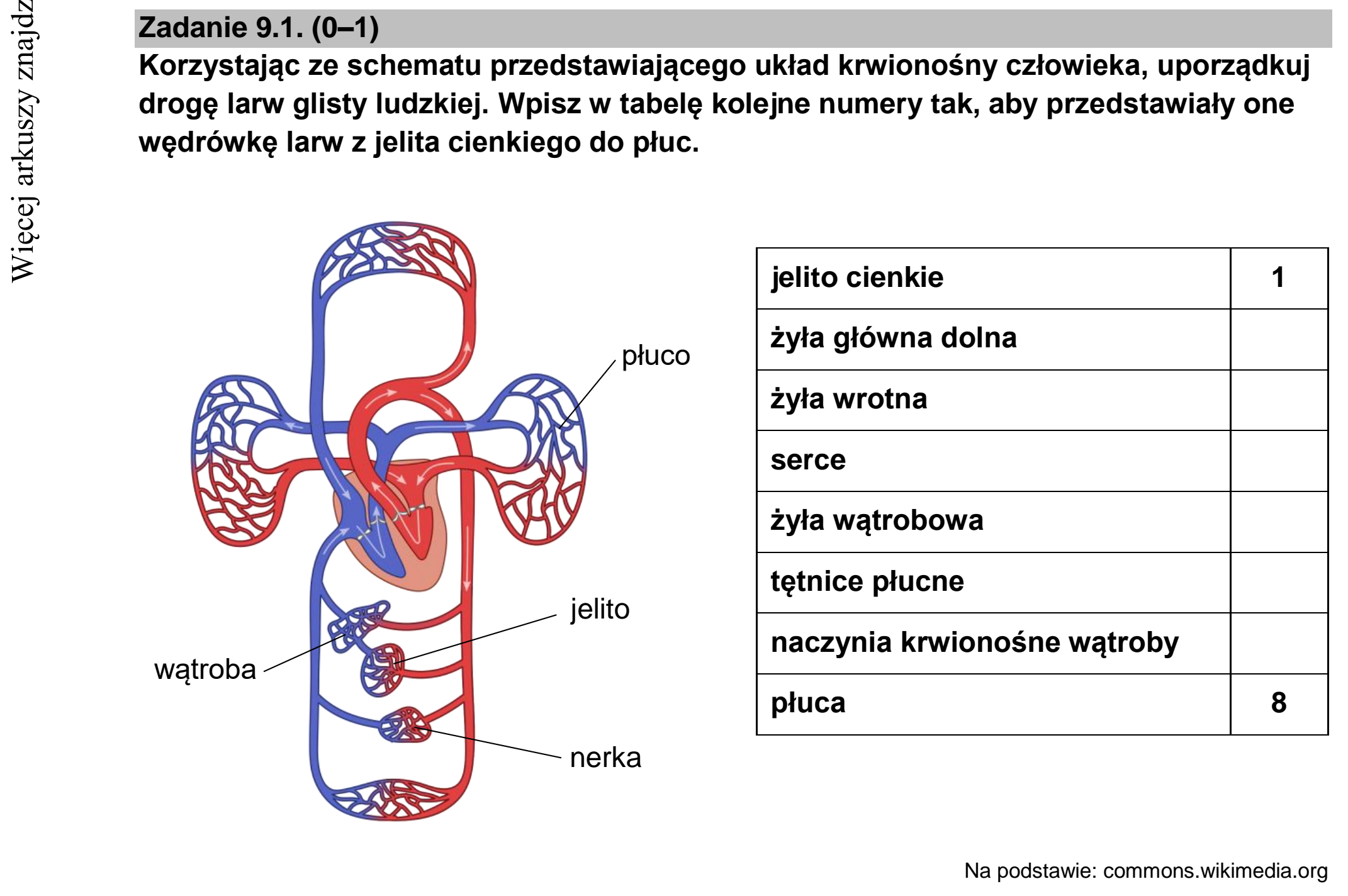 Matura dodatkowa, czerwiec 2022, zadanie 9.1