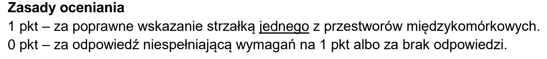 Matura dodatkowa, czerwiec 2023, odpowiedź do zadania 2.1, fragment 1
