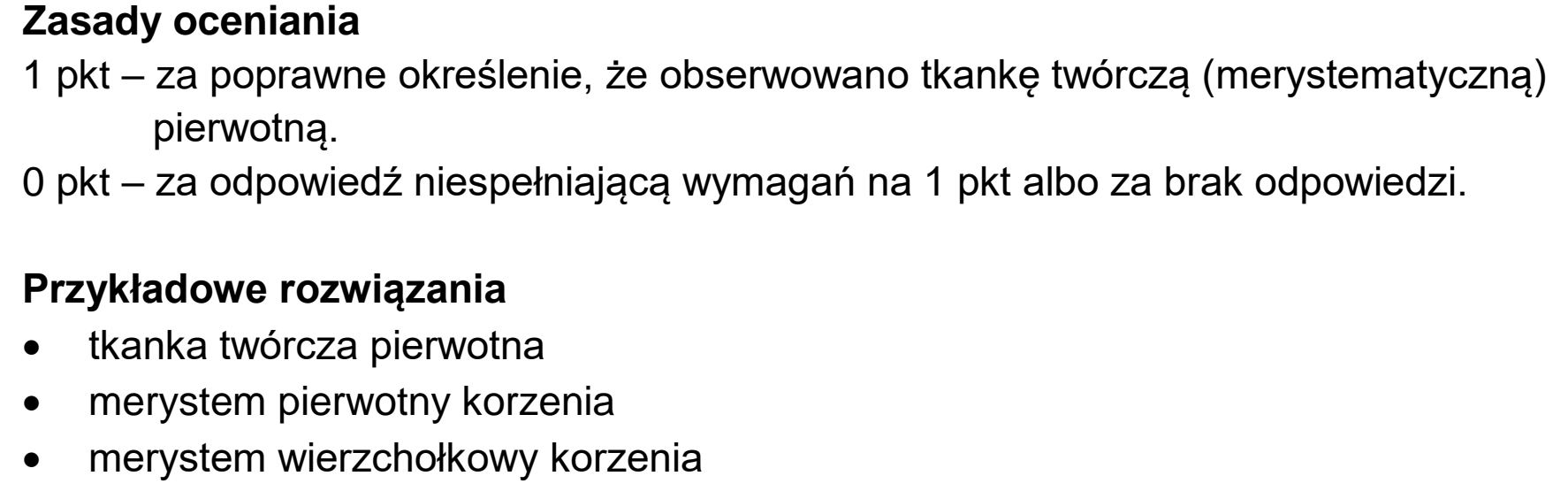 Matura dodatkowa, czerwiec 2023, odpowiedź do zadania 6.1