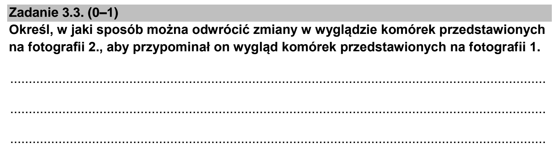 Matura dodatkowa, czerwiec 2023, zadanie 3.3