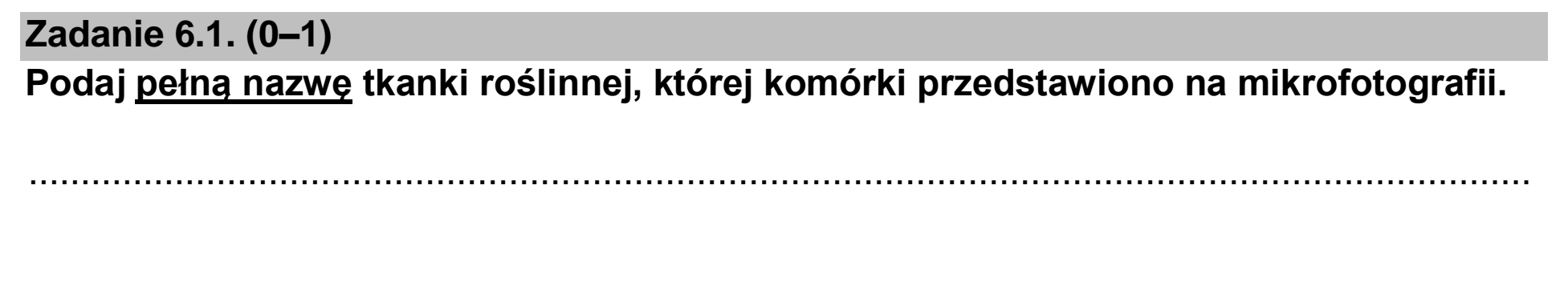 Matura dodatkowa, czerwiec 2023, zadanie 6.1