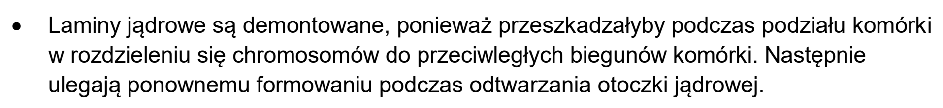 Matura dodatkowa, czerwiec 2024, odpowiedź do zadania 3.2, fragment 2