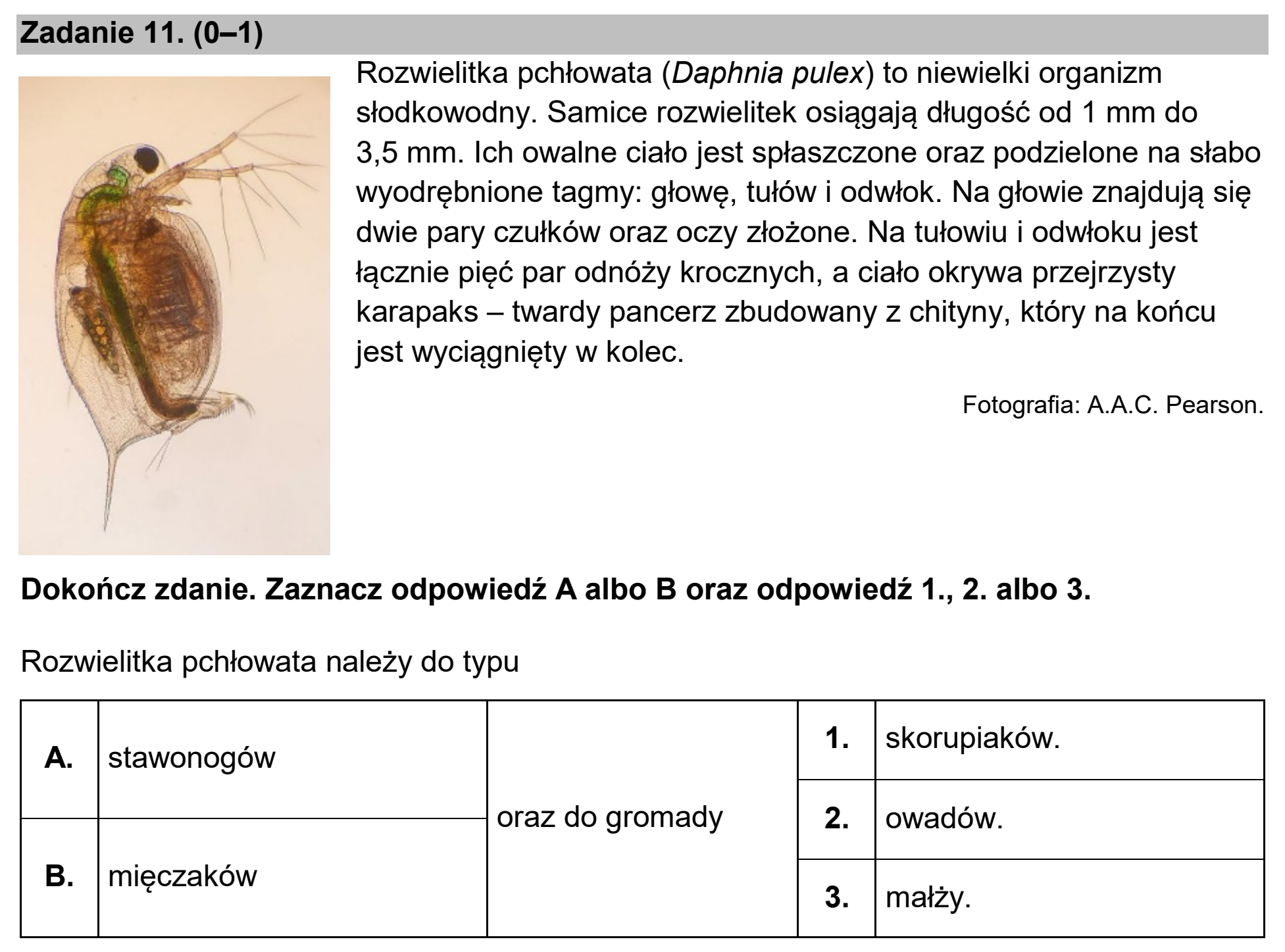 Matura dodatkowa, czerwiec 2024, podgląd zadania 11