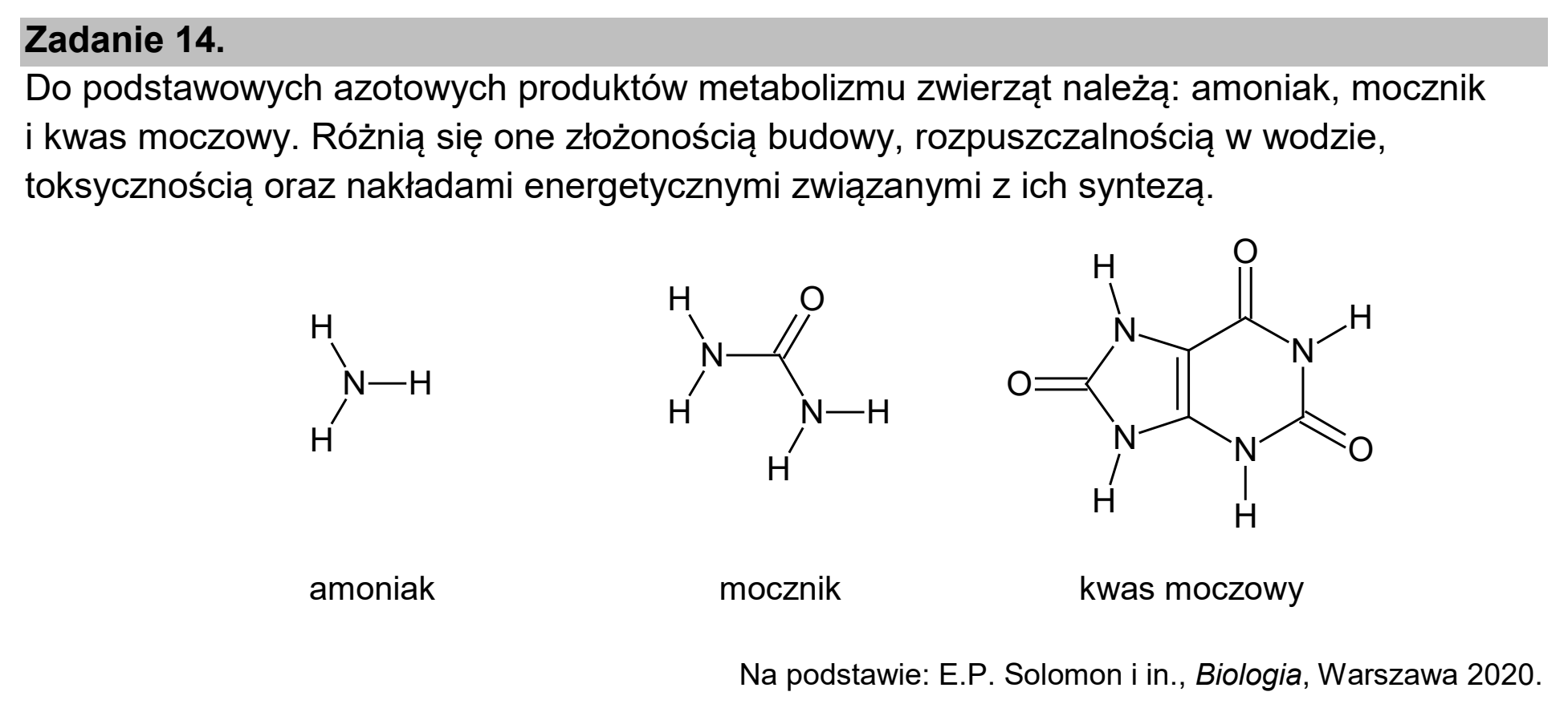 Matura dodatkowa, czerwiec 2024, wstęp zadania 14