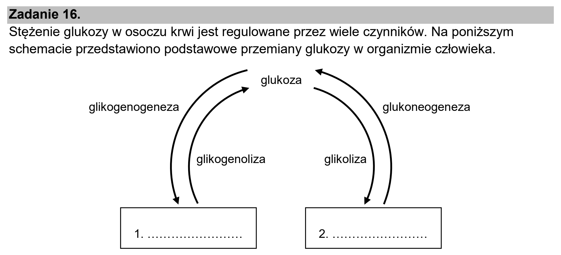 Matura dodatkowa, czerwiec 2024, wstęp zadania 16