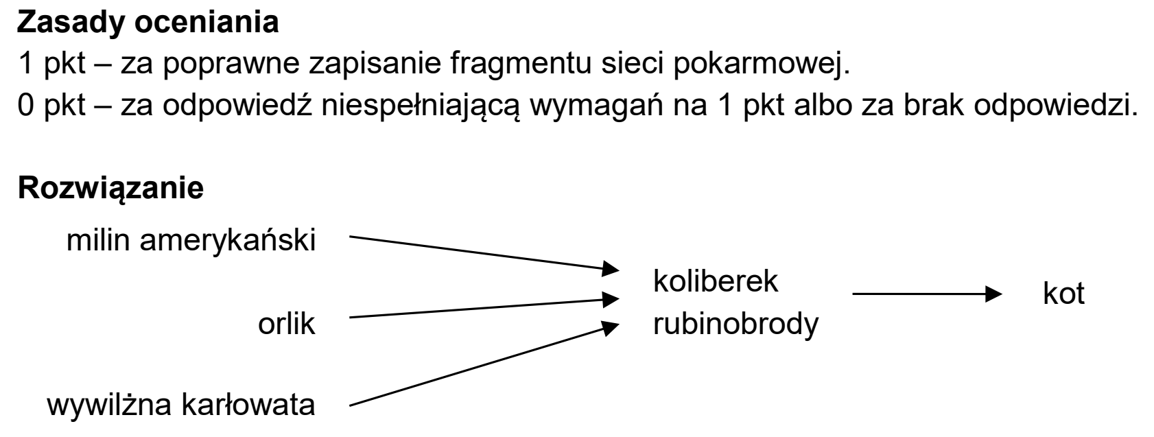 Matura dodatkowa, czerwiec 2025, odpowiedź do zadania 22.1