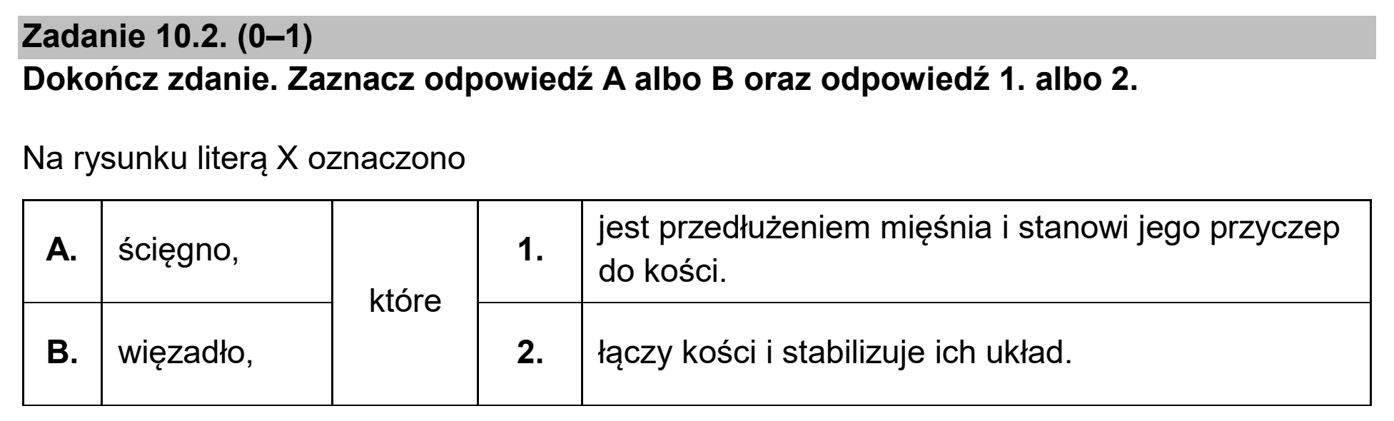Matura dodatkowa, czerwiec 2025, zadanie 10.2