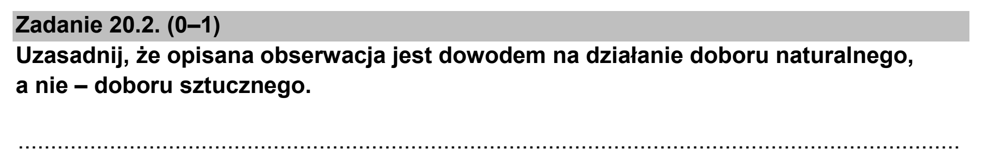 Matura dodatkowa, czerwiec 2025, zadanie 20.2