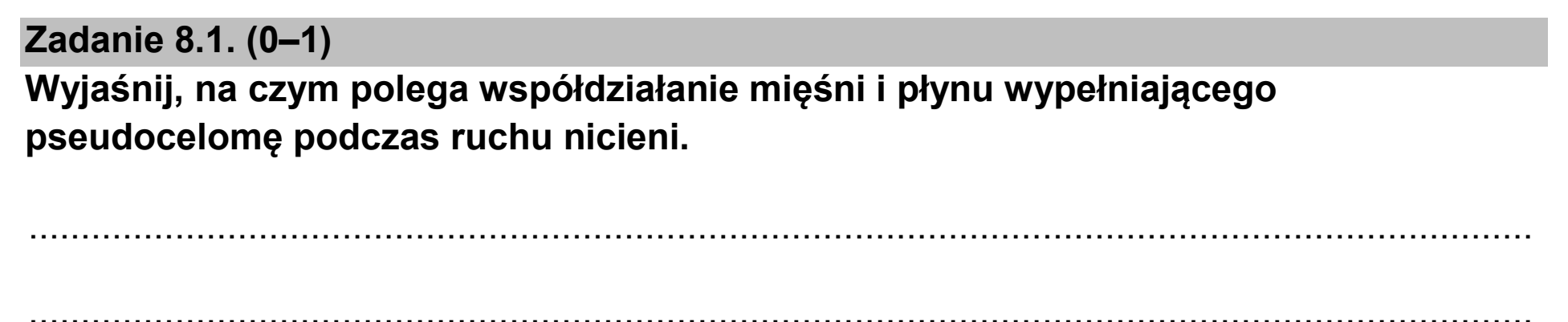 Matura dodatkowa, czerwiec 2025, zadanie 8.1