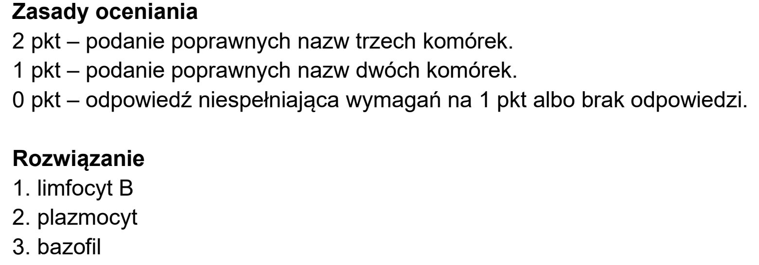 Matura dodatkowa, czerwiec 2026, odpowiedź do zadania 11.1