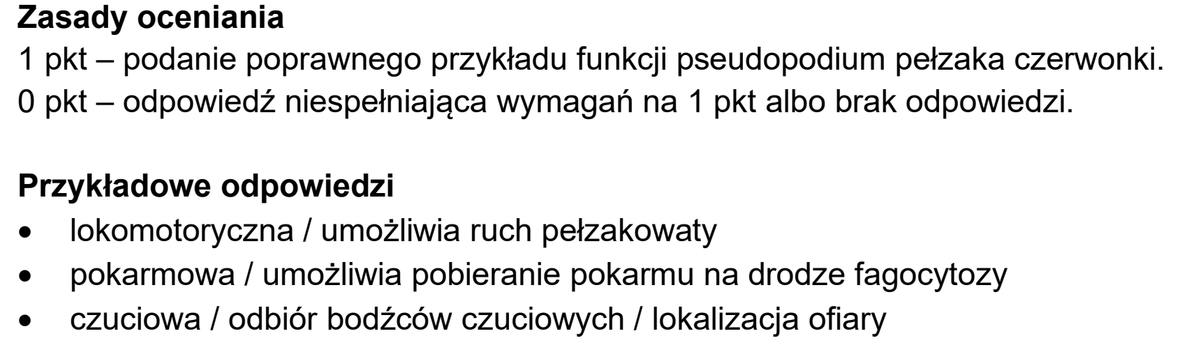 Matura dodatkowa, czerwiec 2026, odpowiedź do zadania 7.2