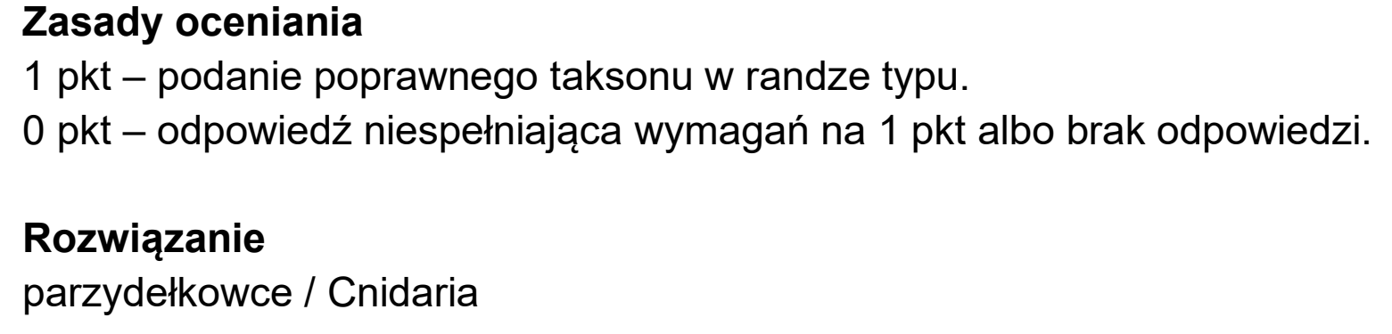Matura dodatkowa, czerwiec 2026, odpowiedź do zadania 9.1