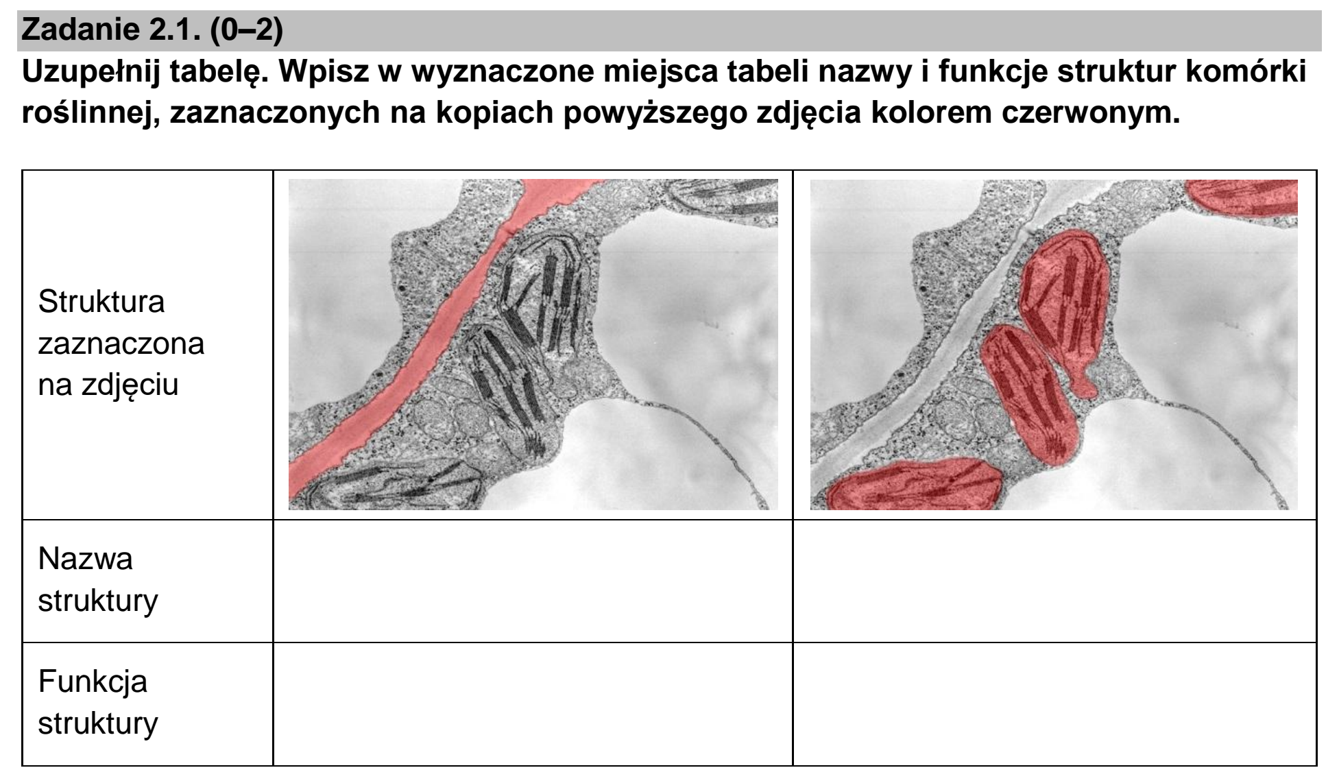 Matura dodatkowa, czerwiec 2026, zadanie 2.1