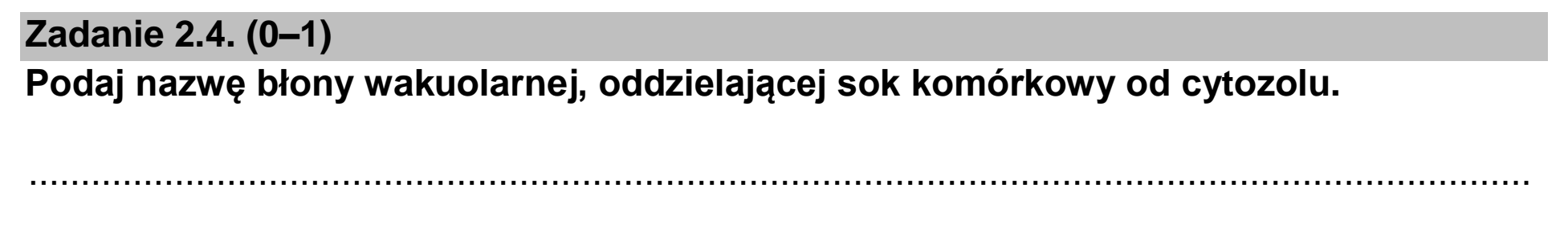 Matura dodatkowa, czerwiec 2026, zadanie 2.4