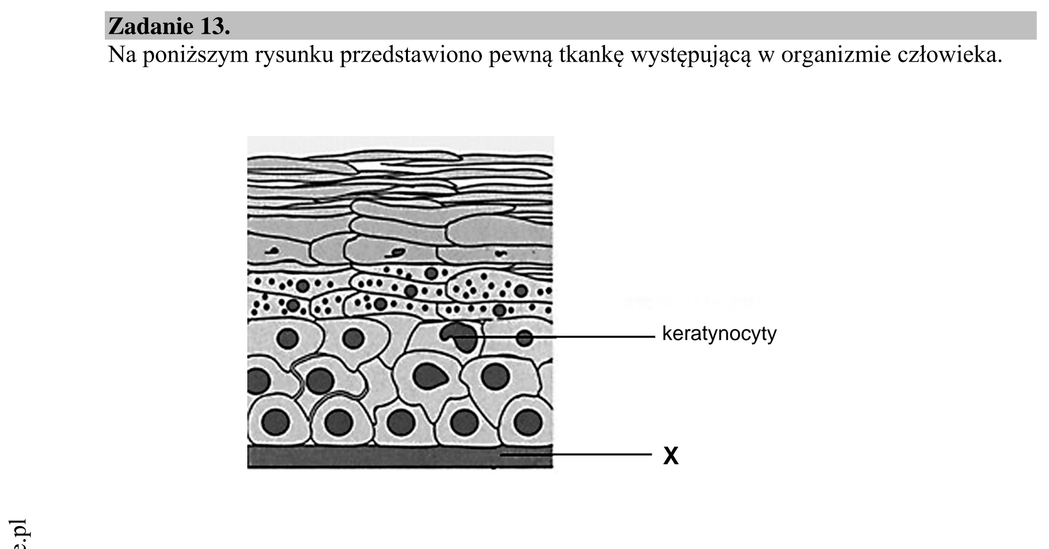 Matura dodatkowa, lipiec 2020, wstęp zadania 13