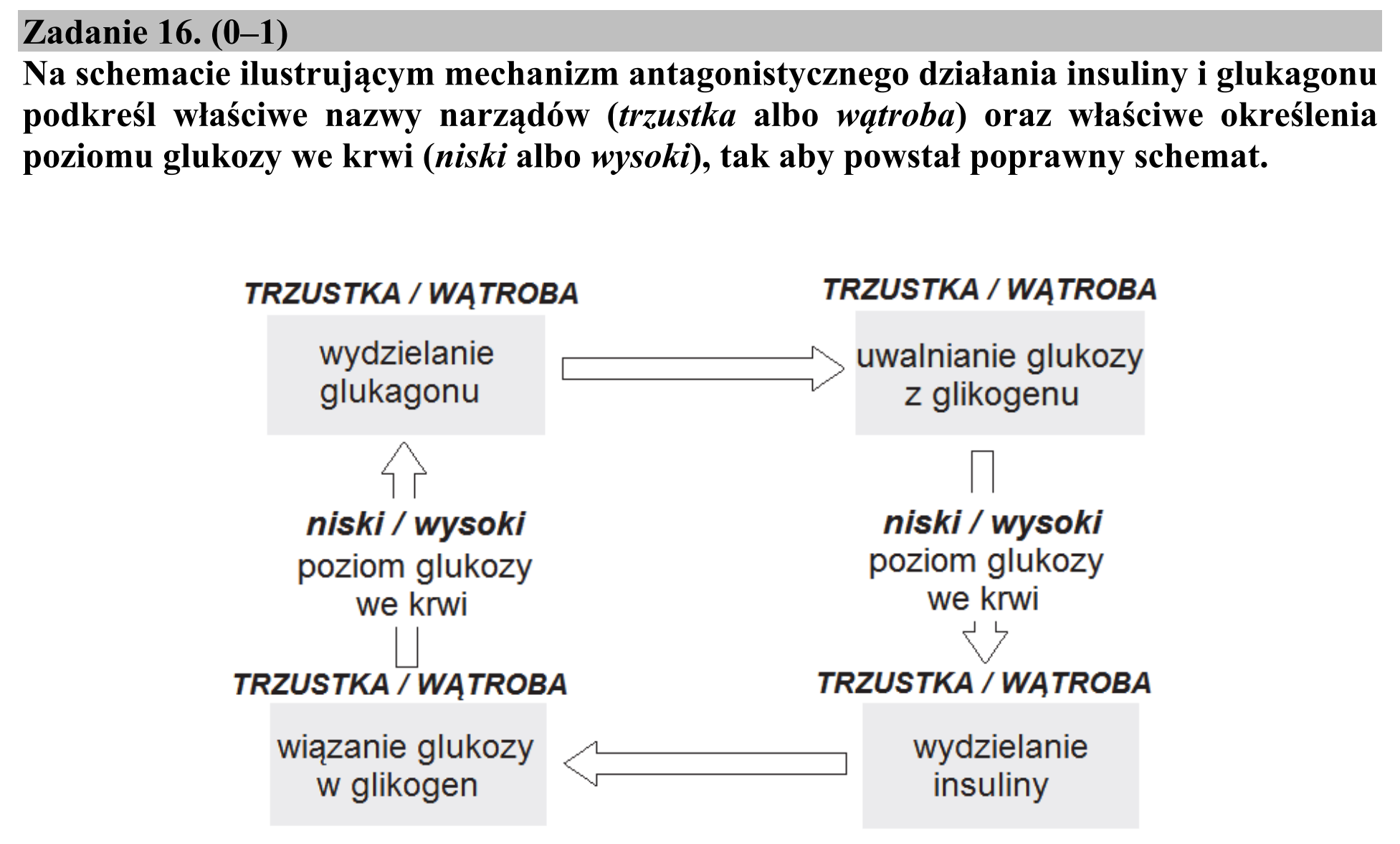 Matura, maj 2016, zadanie 16