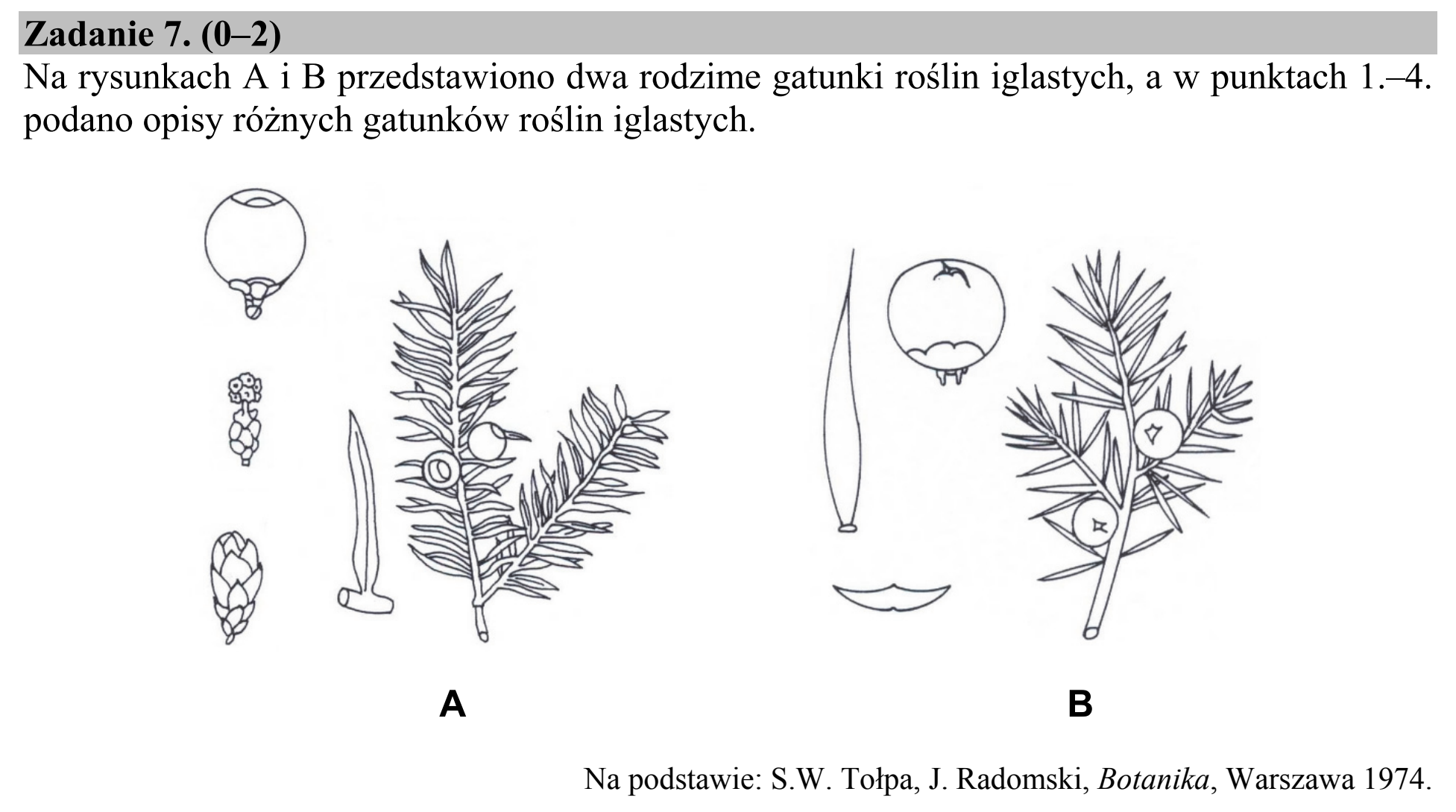 Matura, maj 2019, zadanie 7, fragment 1