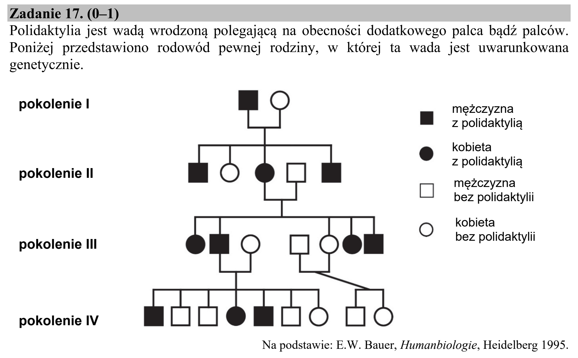 Matura, maj 2020, podgląd zadania 17, fragment 1