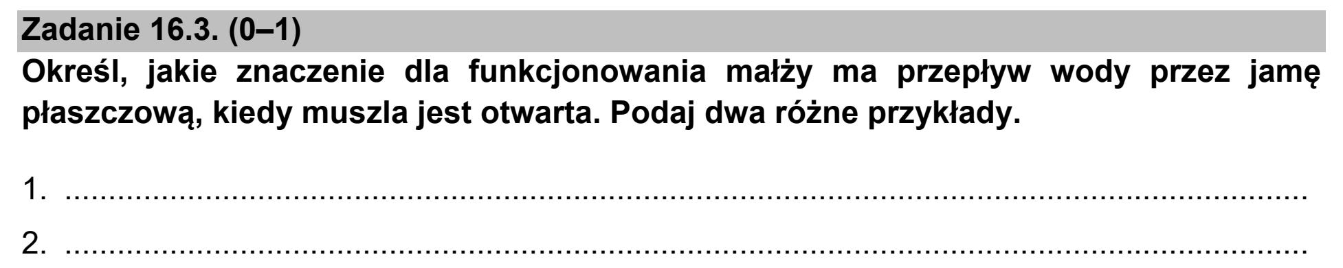 Matura, maj 2021, zadanie 16.3