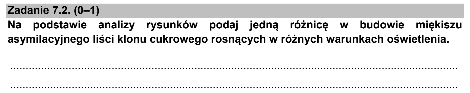 Matura, maj 2021, zadanie 7.2