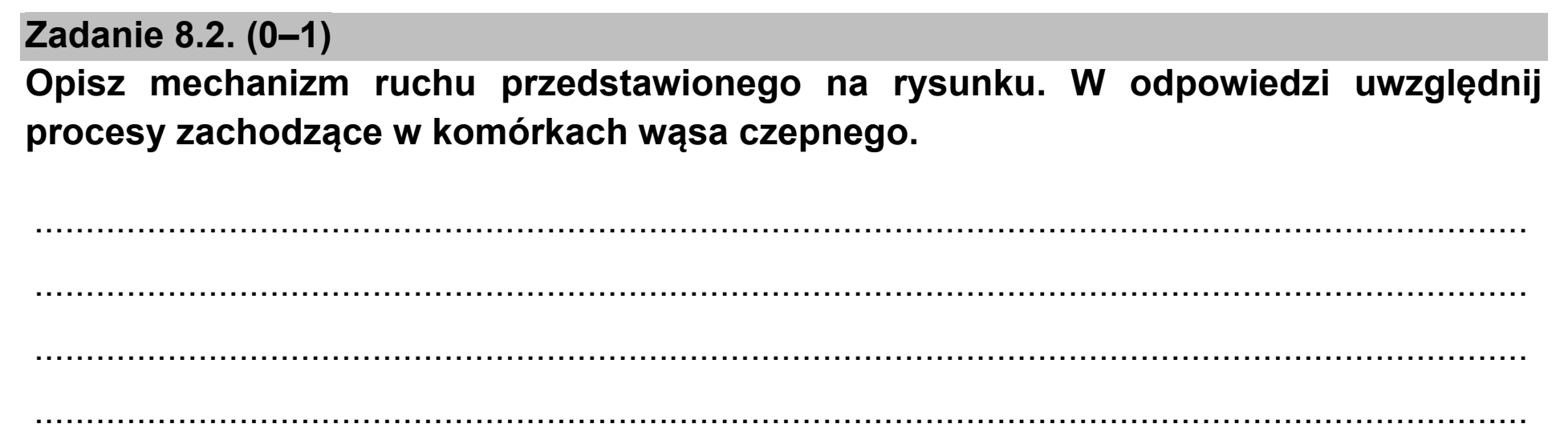 Matura, maj 2021, zadanie 8.2