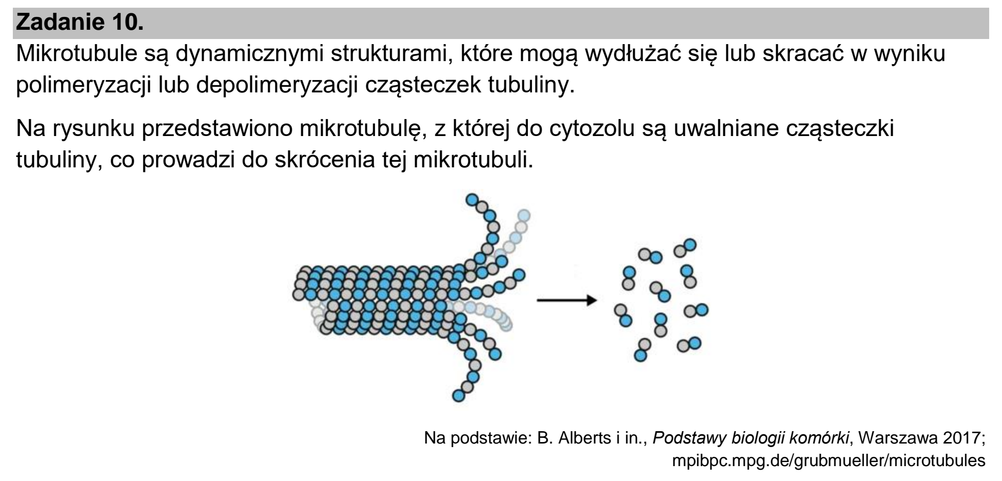 Matura, maj 2022, wstęp zadania 10